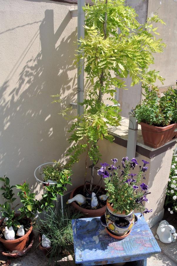 Almasol Bed & Breakfast Cassano delle Murge Exterior foto